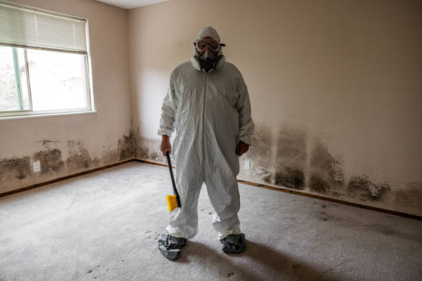 South Deerfield, MA Mold Inspection, Removal & Remediation Company